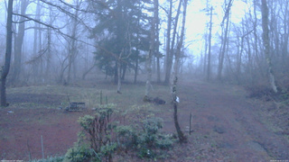 長野県菅平高原 ゆたか山荘 坂上 2026/04/16 05:15