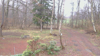 長野県菅平高原 ゆたか山荘 坂上 2026/04/16 06:15