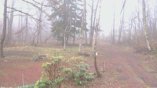 長野県菅平高原 ゆたか山荘 坂上 2026/04/16 06:45