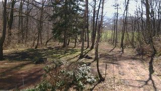 長野県菅平高原 ゆたか山荘 坂上 2026/04/16 08:15