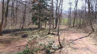 長野県菅平高原 ゆたか山荘 坂上 2026/04/16 09:15