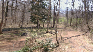 長野県菅平高原 ゆたか山荘 坂上 2026/04/16 09:30