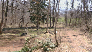 長野県菅平高原 ゆたか山荘 坂上 2026/04/16 09:45