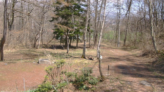 長野県菅平高原 ゆたか山荘 坂上 2026/04/16 12:30