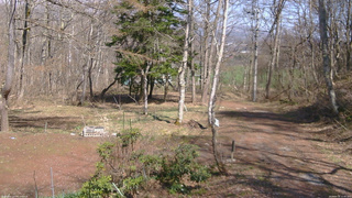 長野県菅平高原 ゆたか山荘 坂上 2026/04/16 13:45