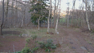 長野県菅平高原 ゆたか山荘 坂上 2026/04/16 17:30