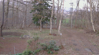 長野県菅平高原 ゆたか山荘 坂上 2026/04/16 18:15