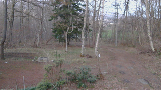 長野県菅平高原 ゆたか山荘 坂上 2026/04/16 18:30