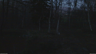 長野県菅平高原 ゆたか山荘 坂上 2026/04/16 18:45