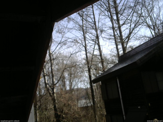 長野県菅平高原 ゆたか山荘 北側 2026/04/17 07:30