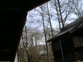 長野県菅平高原 ゆたか山荘 北側 2026/04/17 08:15