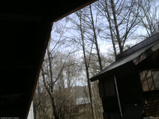 長野県菅平高原 ゆたか山荘 北側 2026/04/17 09:00