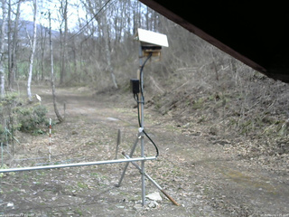 長野県菅平高原 ゆたか山荘 南側 2026/04/17 13:15