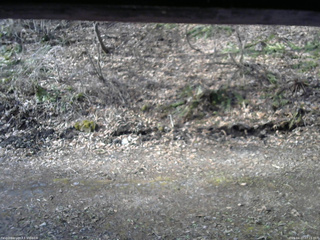 長野県菅平高原 ゆたか山荘 東側(坂下) 2026/04/17 07:15