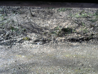 長野県菅平高原 ゆたか山荘 東側(坂下) 2026/04/17 07:30