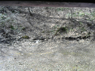 長野県菅平高原 ゆたか山荘 東側(坂下) 2026/04/17 08:45