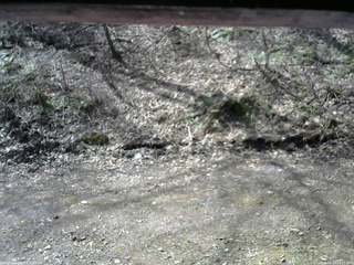 長野県菅平高原 ゆたか山荘 東側(坂下) 2026/04/17 09:15