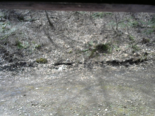 長野県菅平高原 ゆたか山荘 東側(坂下) 2026/04/17 09:30