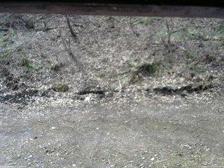 長野県菅平高原 ゆたか山荘 東側(坂下) 2026/04/17 09:45