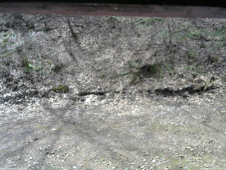 長野県菅平高原 ゆたか山荘 東側(坂下) 2026/04/17 10:00