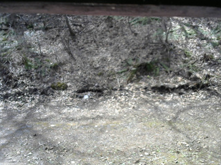 長野県菅平高原 ゆたか山荘 東側(坂下) 2026/04/17 10:15