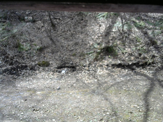 長野県菅平高原 ゆたか山荘 東側(坂下) 2026/04/17 10:30