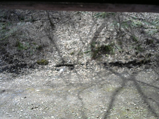 長野県菅平高原 ゆたか山荘 東側(坂下) 2026/04/17 10:45