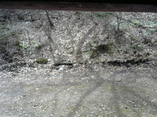 長野県菅平高原 ゆたか山荘 東側(坂下) 2026/04/17 11:00