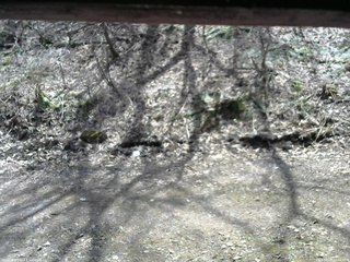 長野県菅平高原 ゆたか山荘 東側(坂下) 2026/04/17 11:45