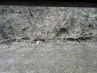 長野県菅平高原 ゆたか山荘 東側(坂下) 2026/04/17 12:30