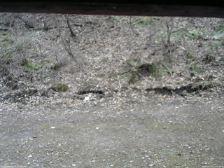 長野県菅平高原 ゆたか山荘 東側(坂下) 2026/04/17 12:45