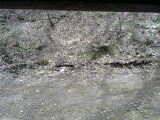 長野県菅平高原 ゆたか山荘 東側(坂下) 2026/04/17 13:00