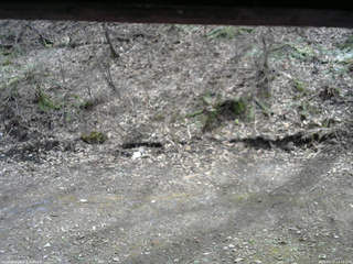 長野県菅平高原 ゆたか山荘 東側(坂下) 2026/04/17 13:15