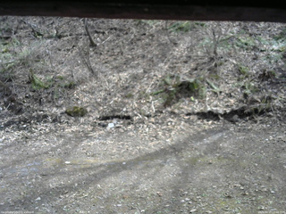 長野県菅平高原 ゆたか山荘 東側(坂下) 2026/04/17 13:45