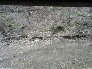 長野県菅平高原 ゆたか山荘 東側(坂下) 2026/04/17 14:00