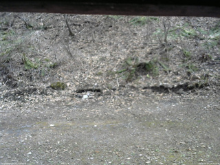 長野県菅平高原 ゆたか山荘 東側(坂下) 2026/04/17 14:30