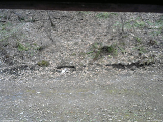 長野県菅平高原 ゆたか山荘 東側(坂下) 2026/04/17 14:45