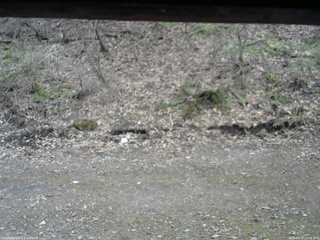 長野県菅平高原 ゆたか山荘 東側(坂下) 2026/04/17 15:15