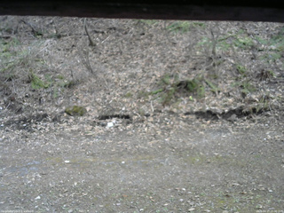 長野県菅平高原 ゆたか山荘 東側(坂下) 2026/04/17 15:30