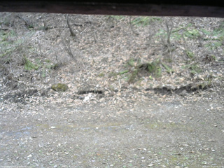 長野県菅平高原 ゆたか山荘 東側(坂下) 2026/04/17 16:45