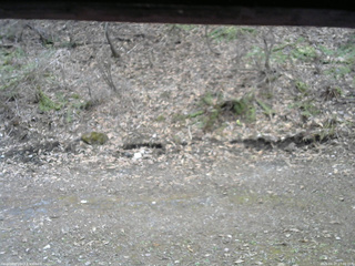 長野県菅平高原 ゆたか山荘 東側(坂下) 2026/04/17 17:00