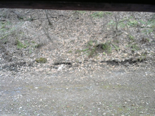 長野県菅平高原 ゆたか山荘 東側(坂下) 2026/04/17 17:15