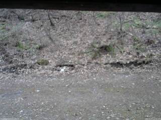 長野県菅平高原 ゆたか山荘 東側(坂下) 2026/04/17 18:00