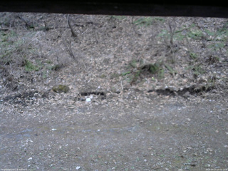 長野県菅平高原 ゆたか山荘 東側(坂下) 2026/04/17 18:15