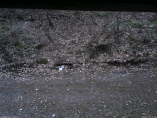 長野県菅平高原 ゆたか山荘 東側(坂下) 2026/04/17 18:30