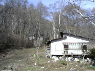 長野県菅平高原 ゆたか山荘 西側(坂上) 2026/04/17 08:30