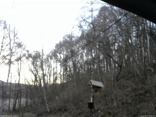 長野県菅平高原 ゆたか山荘 温度計 2026/04/17 05:30