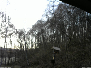 長野県菅平高原 ゆたか山荘 温度計 2026/04/17 05:45