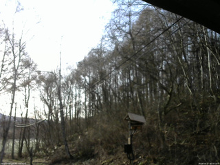 長野県菅平高原 ゆたか山荘 温度計 2026/04/17 06:30