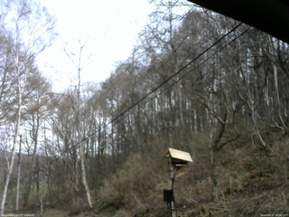 長野県菅平高原 ゆたか山荘 温度計 2026/04/17 14:30